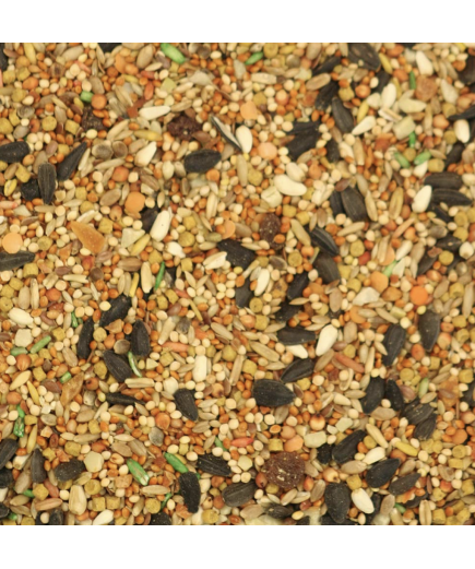 Hagen Gourmet Cockatiel Seed Mix 1.13kg